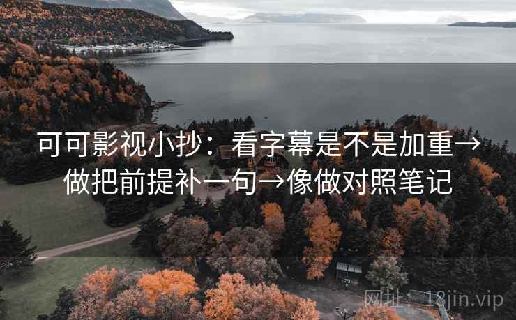可可影视小抄：看字幕是不是加重→做把前提补一句→像做对照笔记